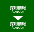 採用情報